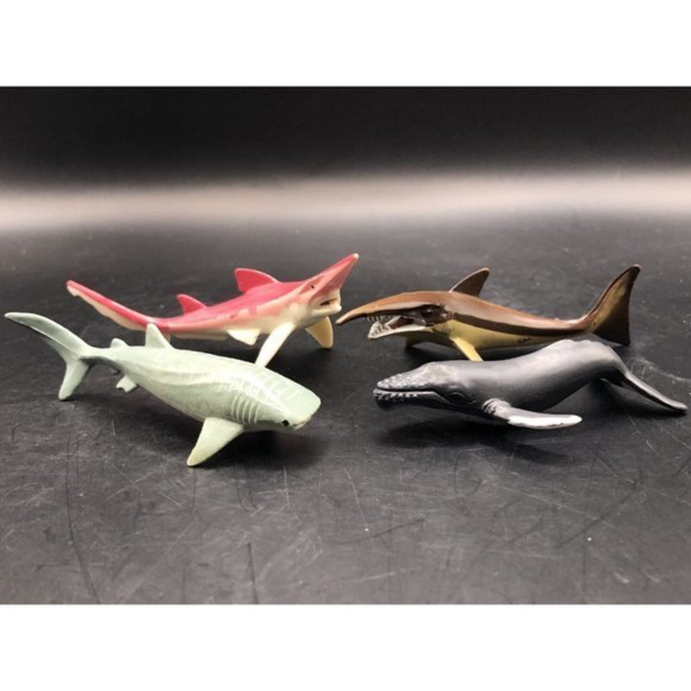 SAFARI LTD LOT OF 4 Whale TOYS FIGURES Whale Shark, Humpback, Scapa & Sarcoprion